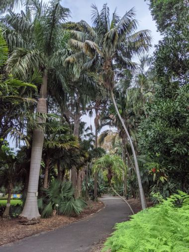 Royal Botanic Gardens Sydney